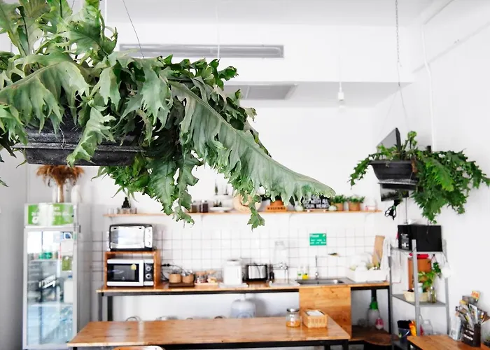 Green Sleep Hostel